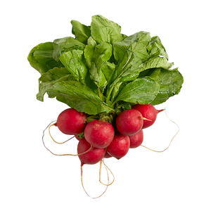 Radishes (1 bunch)