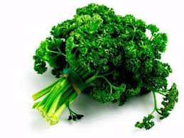 Parsley Curly (1 bunch)