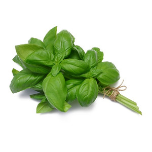 Fresh Basil (ریحان تازه) 1 bunch