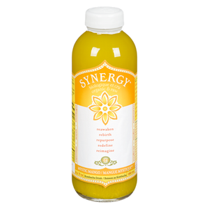 Synergy Mystic Mango Kombucha (480 mL)