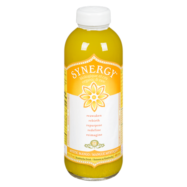 Synergy Mystic Mango Kombucha (480 mL) | GT's | DIZIN