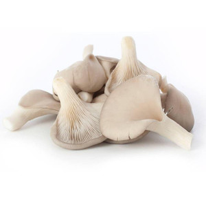 Oyster Mushrooms (100 g)