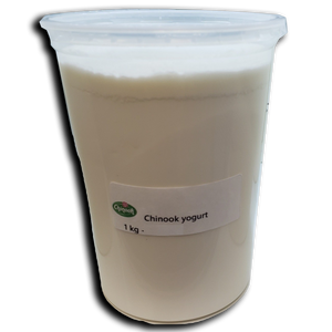 Yogurt 3% Fat 1kg - Chinook Cheese