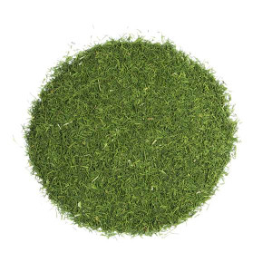 Dill Weed (شوید خشک) (100 gr)