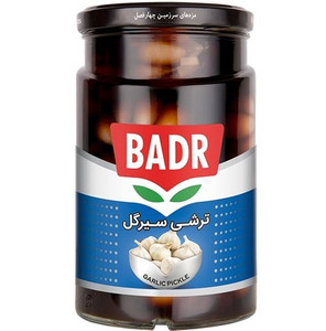 Garlic Pickled Brown Gol (ترشی سیر گل قهوه ای) 700gr - Badr