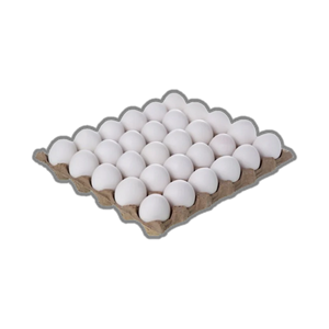 Large Free Run Eggs 2.5 dozen تخم مرغ - Acadia Farm