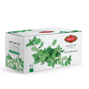Mint Herbal Infusion  (دمنوش گیاهی نعناع گلستان) 20pcs - Golestan 