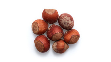 Hazelnut (Filbert) in Shell  (فندق با پوست) 1lb