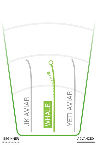 Whale Champion Tie-Dye