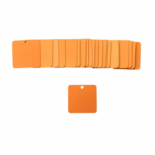 87618 Brady  Tag - Image1