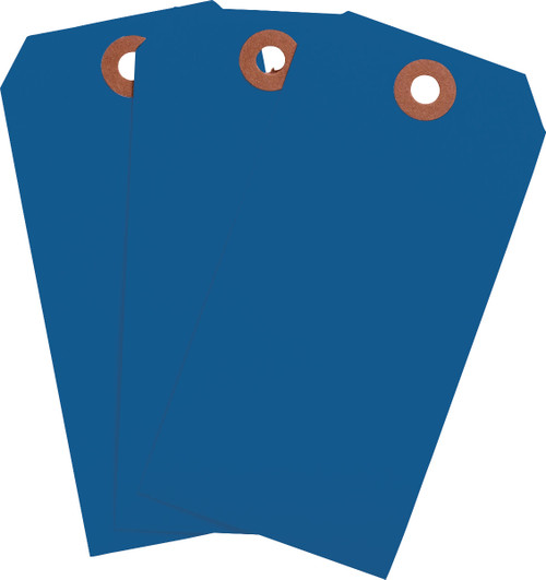 Brady Tag - 102100