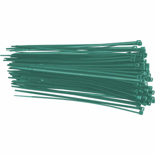 145589 Brady  Tag - Image1