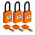 NYL-ORG-38PL-KA3PK Brady  Accessory - Image1