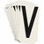 6450P-V Brady  Label - Image1