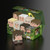 Collectors Case 800 The Lord of the Rings - Hobbiton