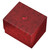 Deck Case: Sidewinder 100+ Standard Xenoskin- MTG- Avatar the Last Airbender- Red Mana