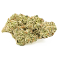 RED HEADED STRANGER *1oz SPECIAL* 34.47% THCA - SATIVA