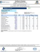 Blue-Razz Nano Syrup - 750mg