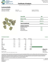 LEMONCHELLO FLOWER (H)