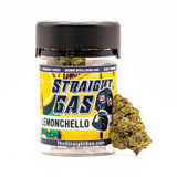 LEMONCHELLO FLOWER (H)
