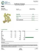GMO Indica Flower (33%)