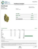 Lil' Shorties - Stank Breath 5ct 0.5G Indica Pre-Roll's (28%)