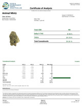 Lil' Shorties - Animal Mintz 5ct 0.5G Hybrid Pre-Roll's (31%)