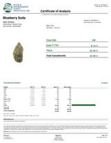 Blueberry Soda 1G Indica Pre-Roll's (32%)