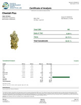 CHEETAH PISS PREMIUM SMALLS - 7G HYBRID - 32% THCA