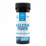 Maltese Tiger Hybrid Flower (33%)