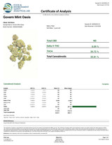 Govern Mint Oasis Hybrid Flower (35%)