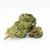 THCa Flower Gary Payton - 3.5g (29% THCa)