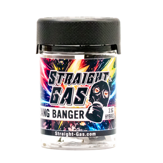 ZANG BANGER FLOWER (H)