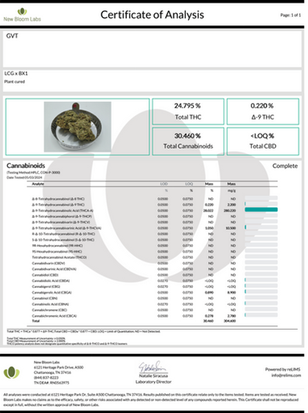 LEMON CHERRY GELATO FLOWER (H)