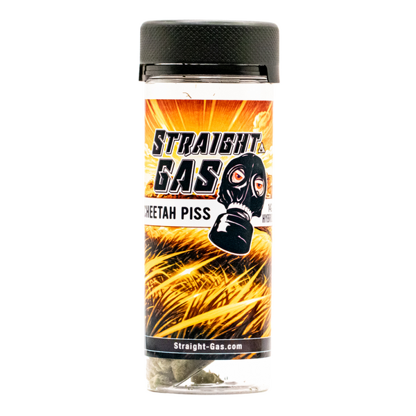 CHEETAH PISS FLOWER (H)