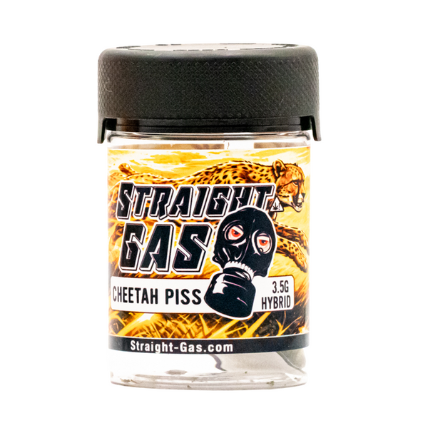 CHEETAH PISS FLOWER (H)