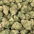 LEMON BAR PREMIUM SMALLS - 7G SATIVA