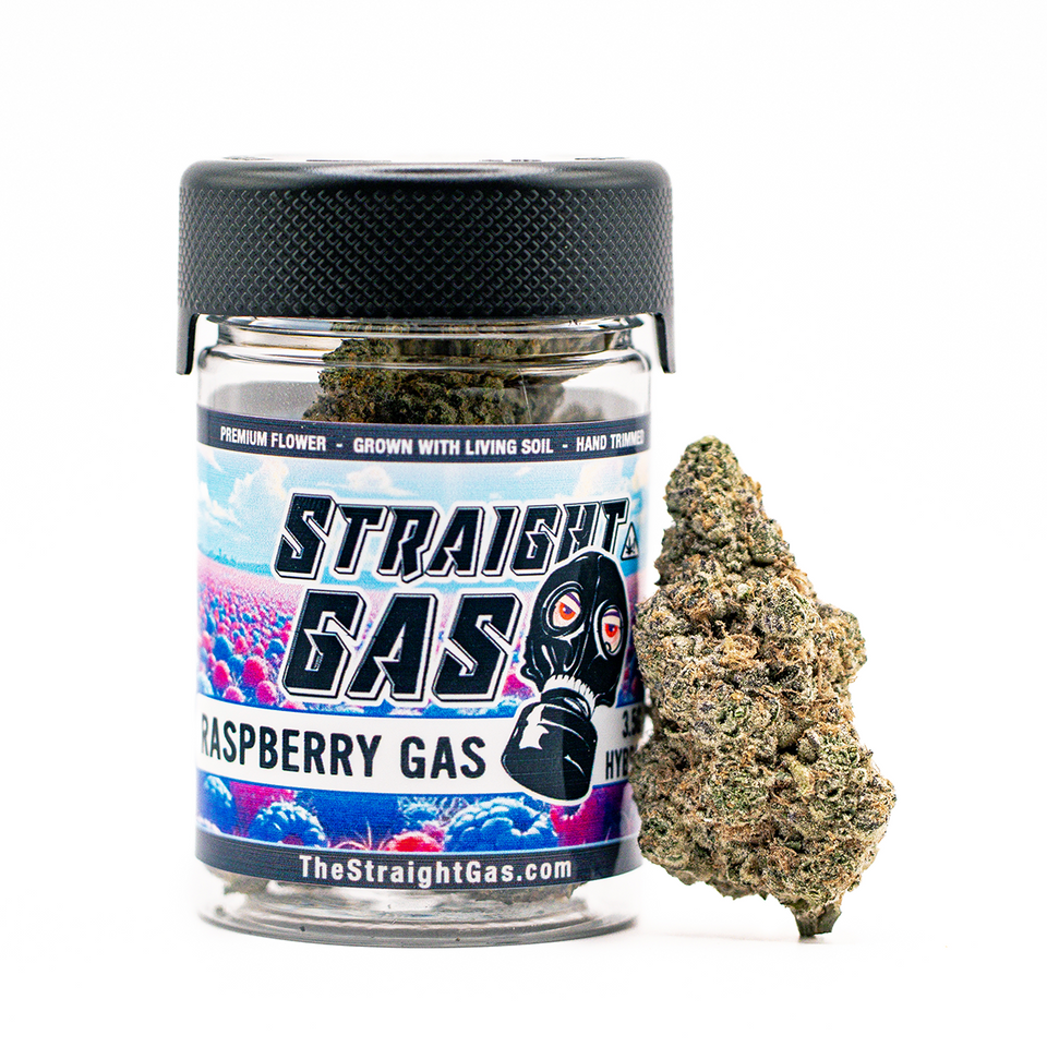 RASPBERRY GAS FLOWER (H)