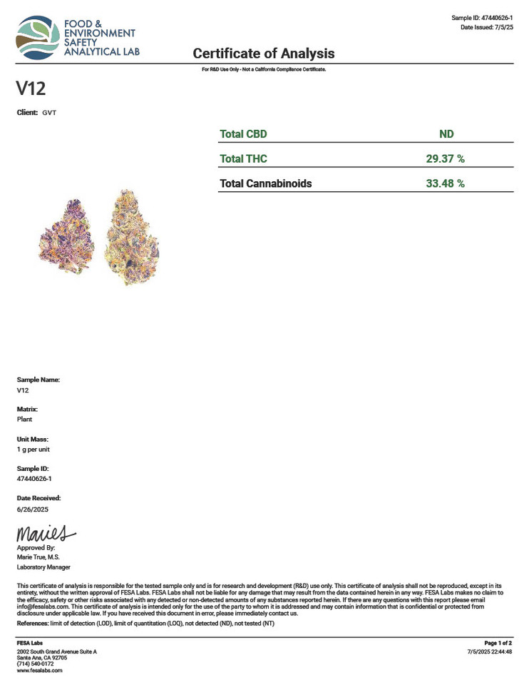 V12 PREMIUM SMALLS - 7G HYBRID