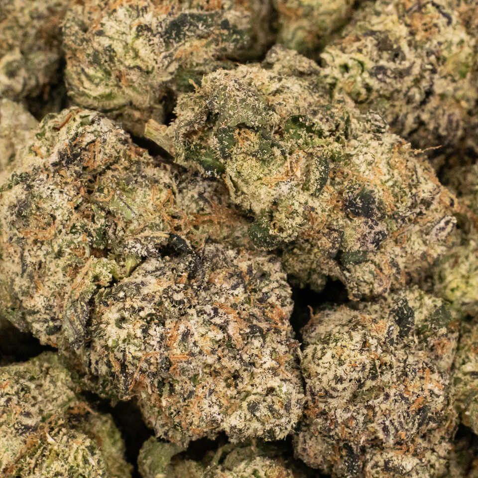 BLUE CHERRY GUMBO *1oz SPECIAL* 32.9% THCA - HYBRID