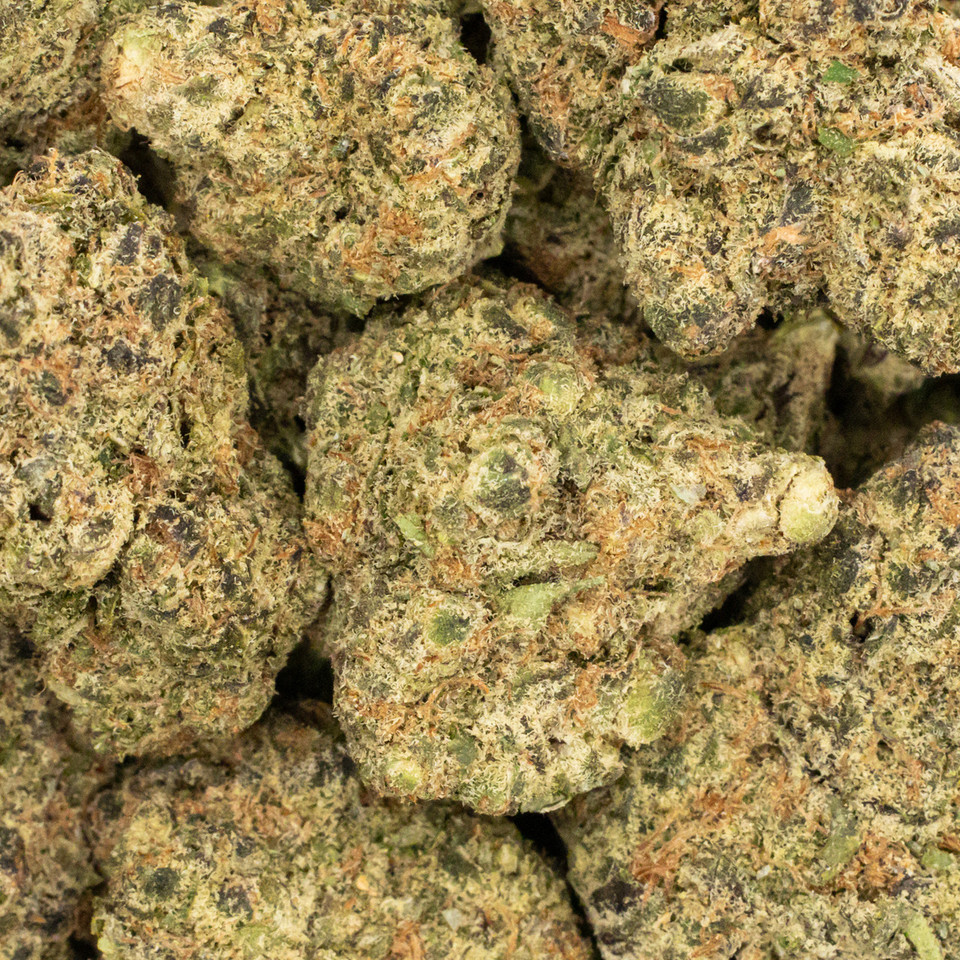 GEORGIA HAZE *1oz SPECIAL* 34.81% THCA - SATIVA