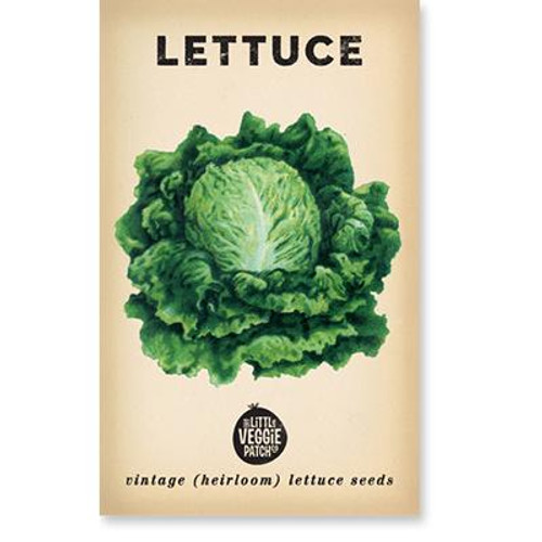 LITTLE VEGGIE PATCH CO. - Lettuce 'Boston' Seeds