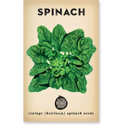 LITTLE VEGGIE PATCH CO. - Spinach'Bloomsdale' Seeds