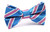 OTAA Light Blue Bow Tie with Pink Stripes