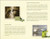 Dalan d'olive Olive Oil Intensive Care Cream. (Moisturizing hand and body cream)

We present to you dalan d'Olive Intensive Care Creams with its unique olive oil formula leaves a non-greasy feel and now comes in a new package. It moisturizes the skin deeply. Also suggested for very dry skin and eczema conditions. It's organic and Paraben free.