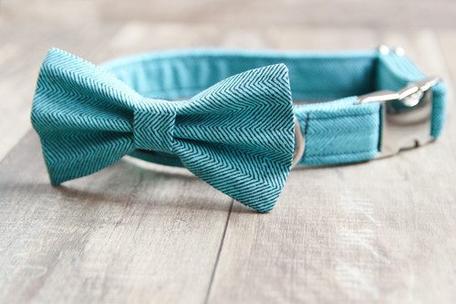 bow tie leash
