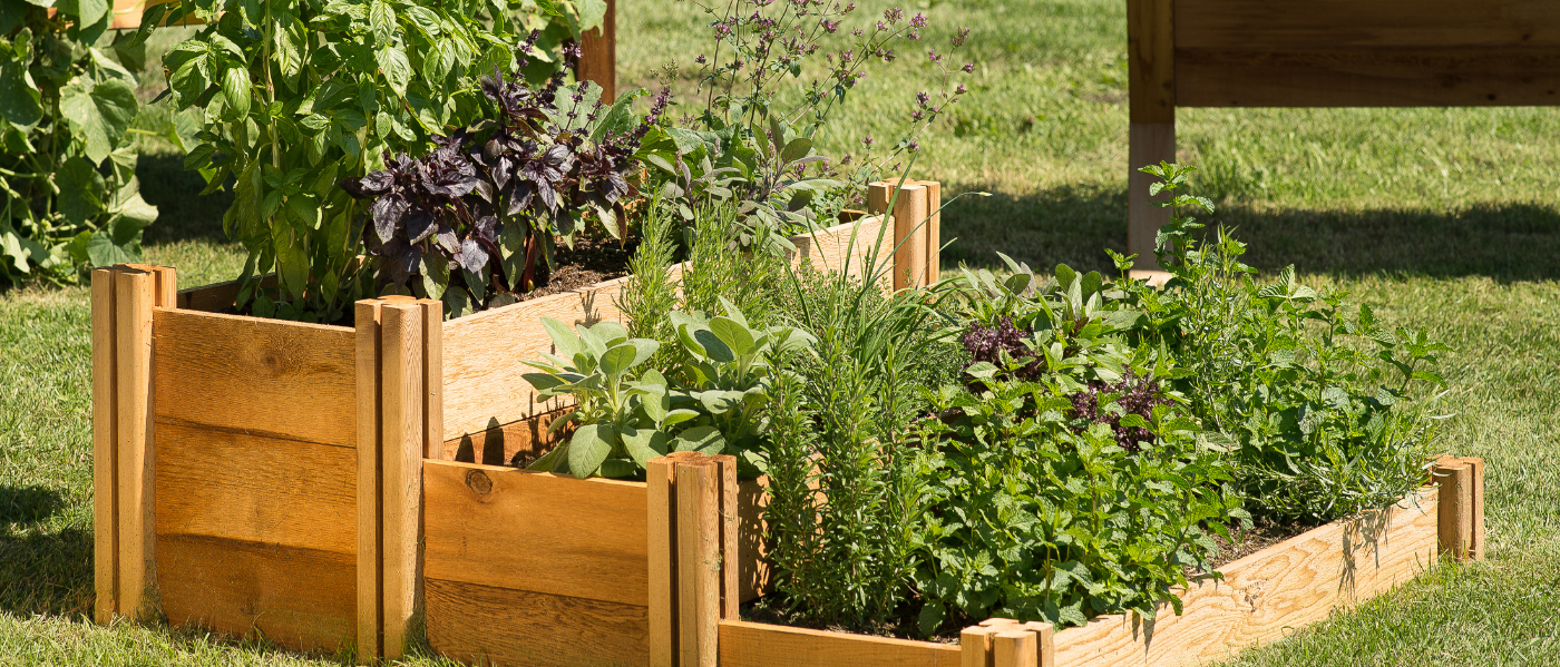 Gronomics Raised Elevated Garden Beds