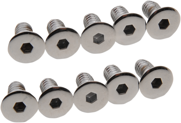 Drag Specialties Cover Screws - Derby/Inspection