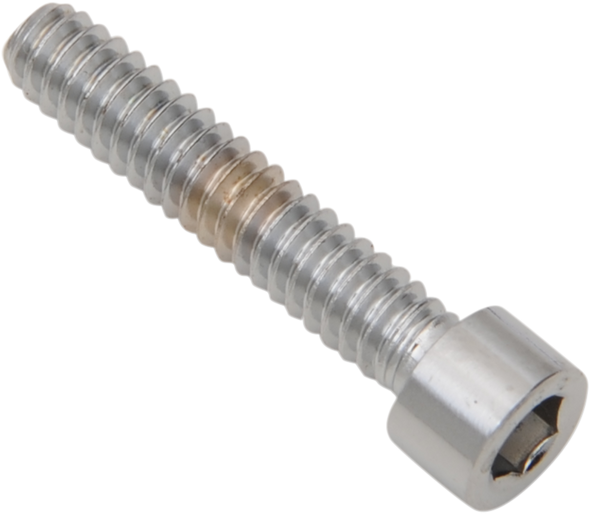 Drag Specialties Bolts - Socket-Head - Replacement - Smooth/Coarse Thread - #10-24 X 1" - 10 Pack