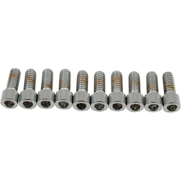Drag Specialties Bolts - Socket-Head - Smooth - 1/4-20 X 5/8"